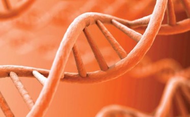 cancers_last_stand_the_genome_solution