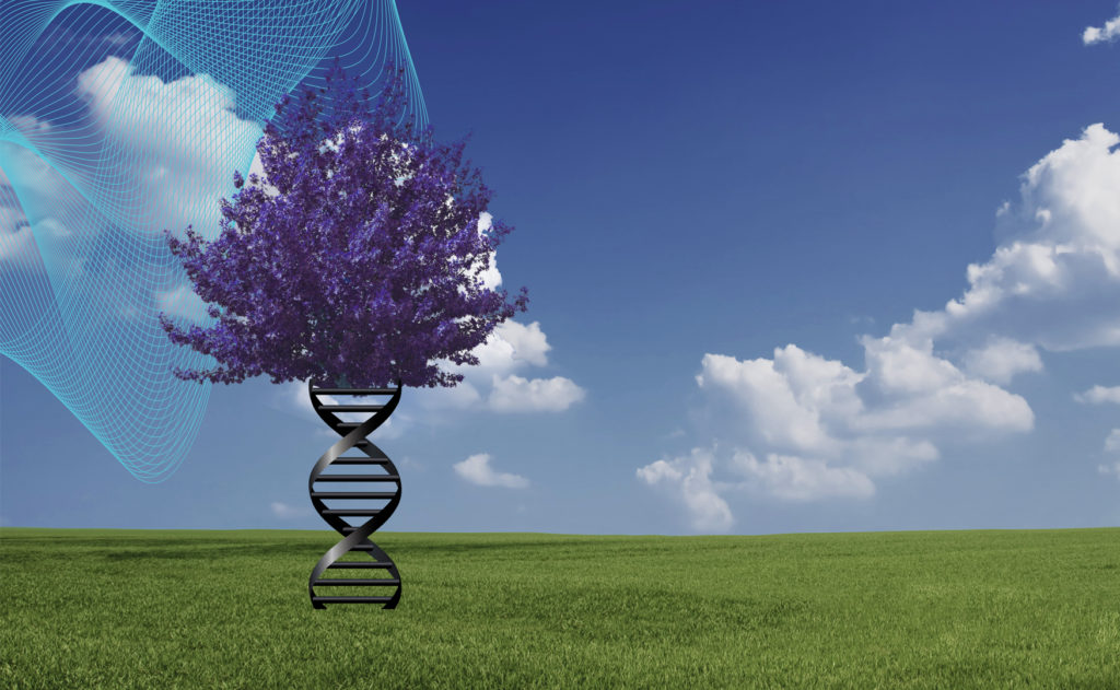 Multiverse: One Universe or Many? | World Science Festival