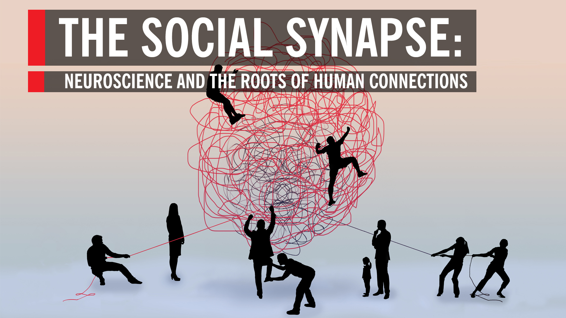 The Social Synapse Neuroscience And The Roots Of Human Images, Photos, Reviews