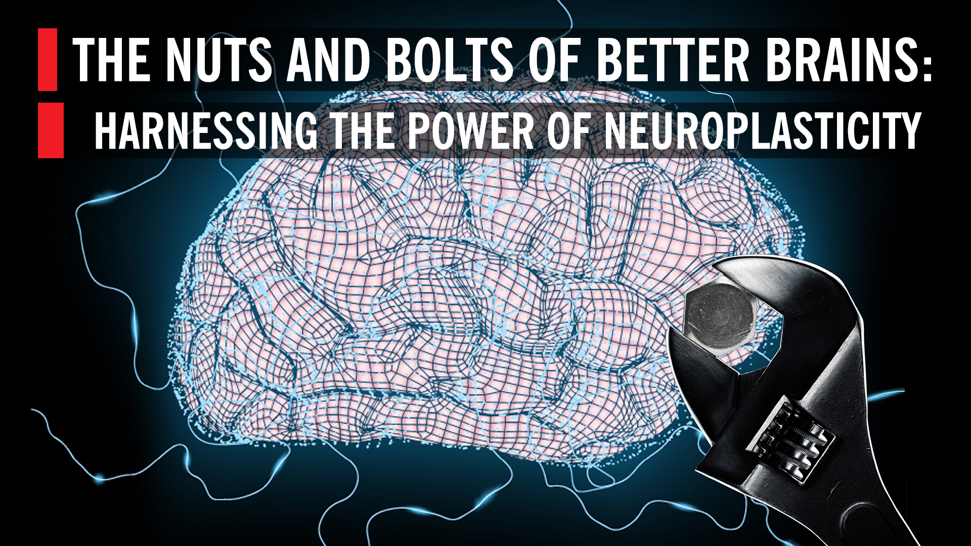 Harnessing The Power Of Neuroplasticity The Nuts And Bolts - 